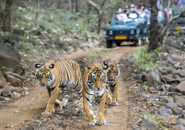 19 DAYS ROYAL RAJASTHAN TOUR